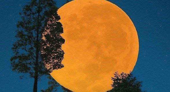 アジアポルノ、ゾーン1とゾーン2_AIIUII_未删减韩语全集免费观看